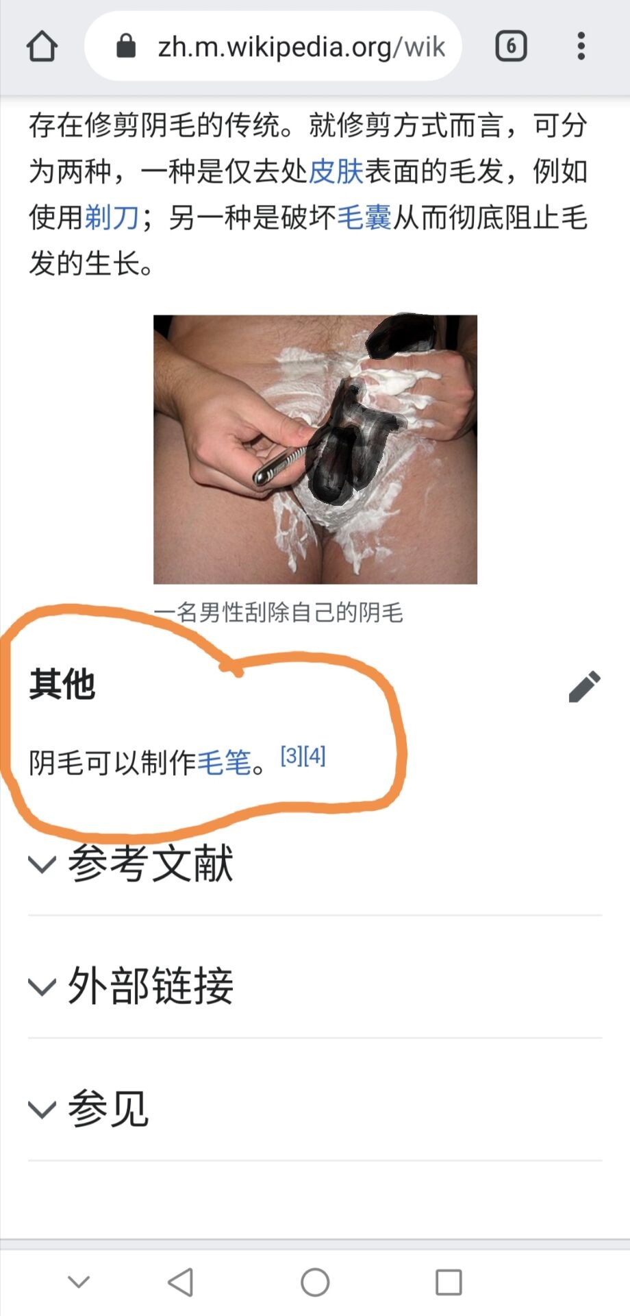 阴毛 原来wiki里说的是真的，阴毛可以用来做毛笔。 - zhuzhu333的日志- GameMale - Powered by Discuz!
