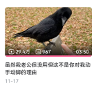 终于4级惹