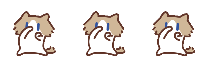 我的相册