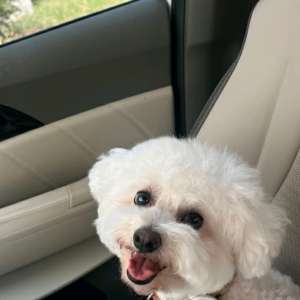 请输入相册名称