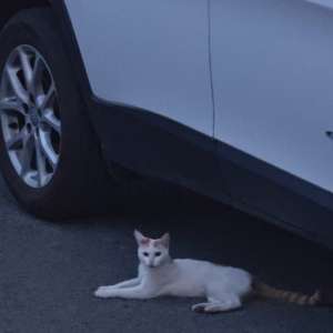 请输入相册名称