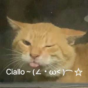 请输入相册名称