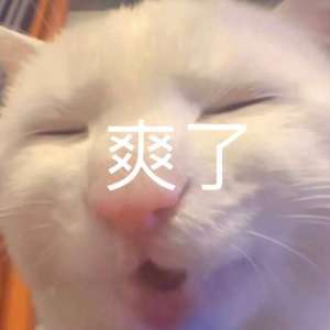 表情包