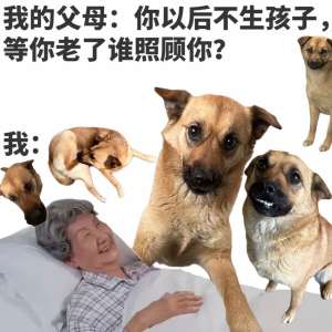 请输入相册名称