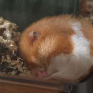 请输入相册名称