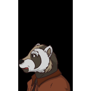 RacoonIdle.png
